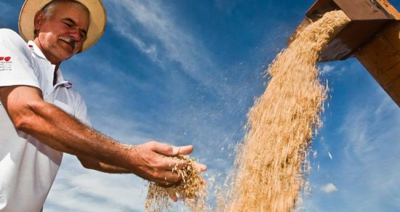 Atraso na publicação do zoneamento agrícola paralisa tomada de crédito