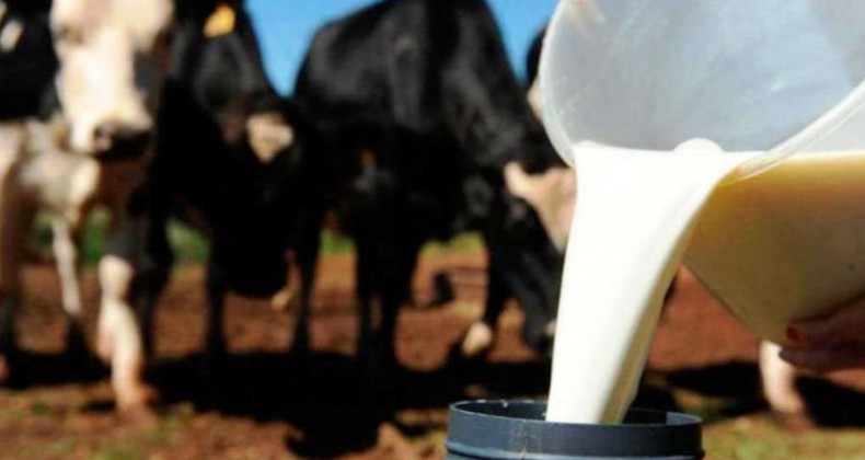 Consumidores reclamam do aumento no preço do leite