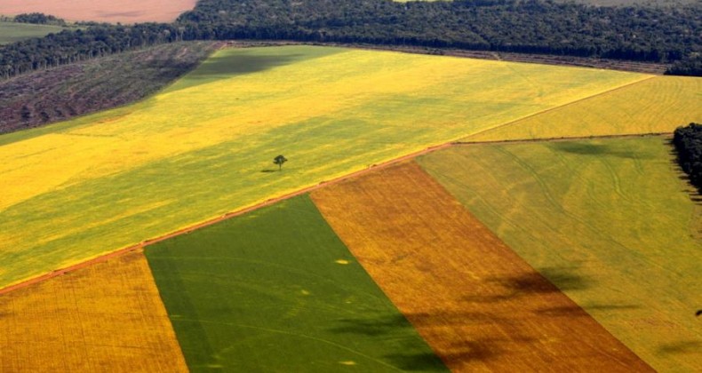 Produtores gaúchos pagarão menos pelo seguro rural da próxima safra