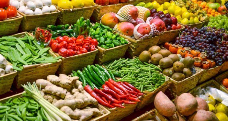 Especialistas defendem mais subsídios para aumentar produção orgânica