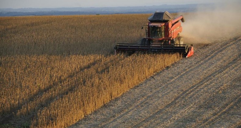 Governo prevê crescimento de 30% na safra de grãos em 10 anos