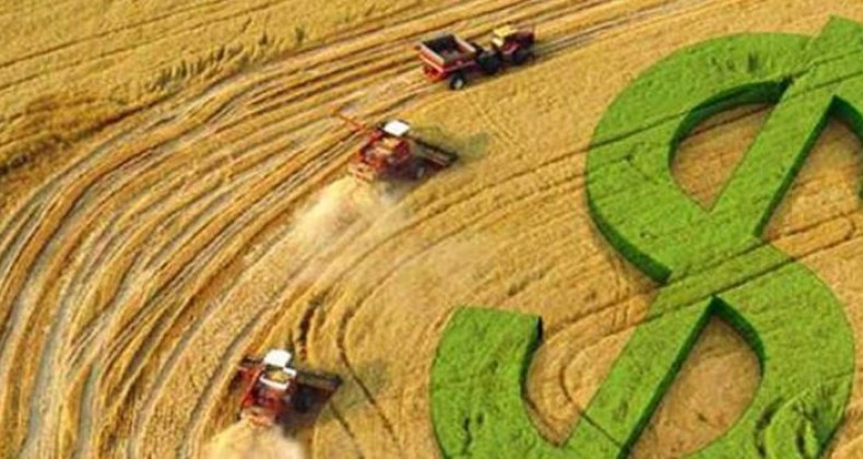 Prazo para aderir à renegociação do Funrural pode ficar para dezembro