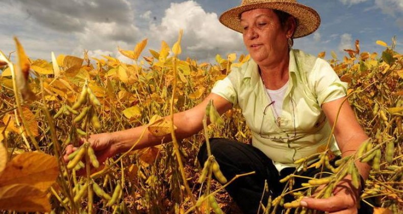 Contratação de crédito rural sobe 32% neste trimestre, diz Mapa