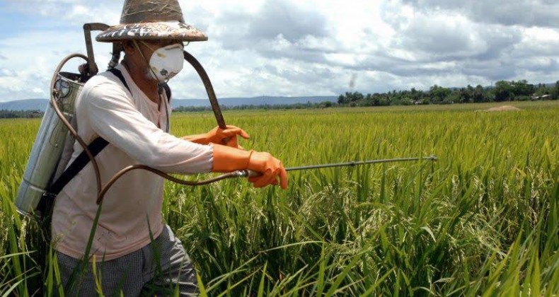 Estudo mostra por que 39% dos agricultores usam defensivo biológico