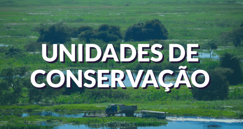 Estudo mostra riscos de PL sobre criação de unidades de conservação
