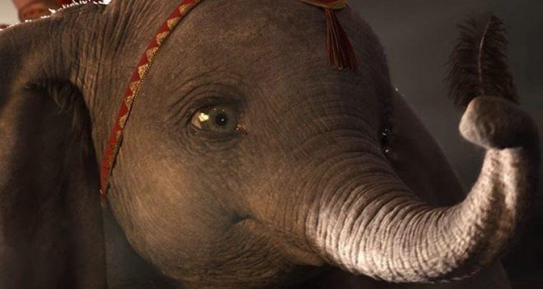 Dumbo mostra os extremos vividos pelos circos, diz coreógrafo