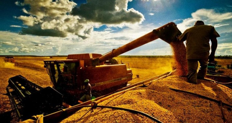 Brasil já colheu 88% da área de soja, revela AgRural