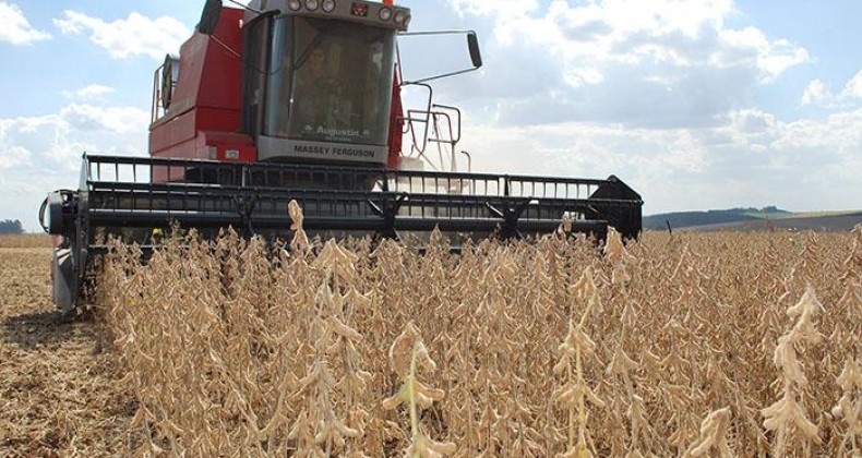Colheita da soja no Brasil atinge 83,1% da área, aponta consultoria