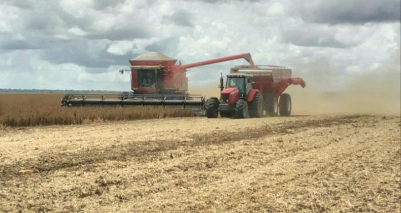 USDA reduz estimativa para os estoques norte-americanos de soja