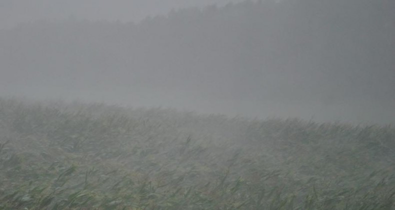 Chuva com ventania e queda de granizo está a caminho do Sul