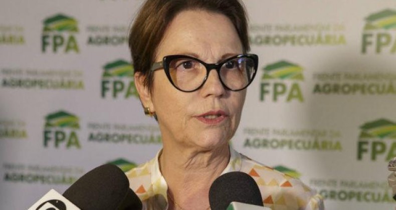 Ministra diz esperar que STF tenha “bom senso” e derrube tabela de frete