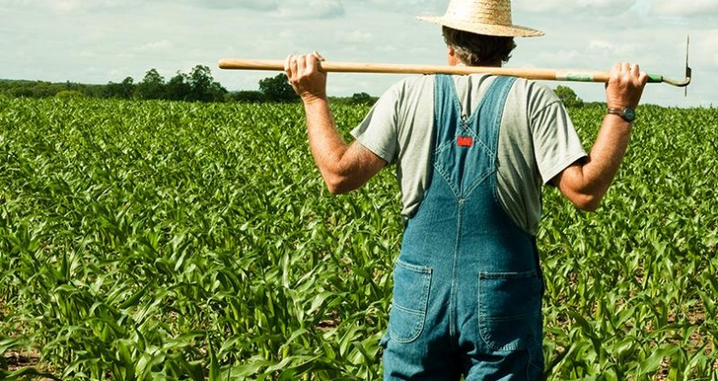 População rural vai ficar de fora da reforma da Previdência, diz FPA