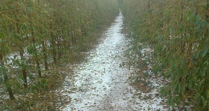 Rio Grande do Sul tem alerta de granizo nesta quinta