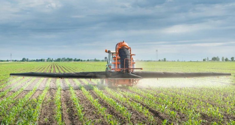 RS: fabricantes de herbicida 2,4-D devem criar fundo de reparação