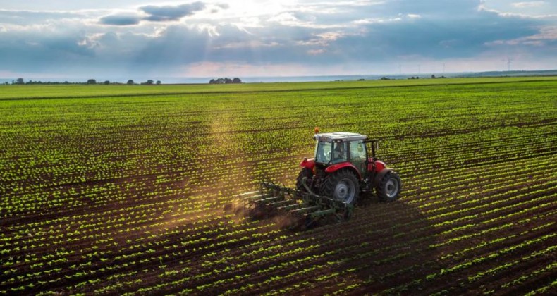 Cepea: Cresce número de vagas no agronegócio que cobram qualificação