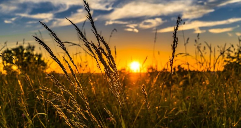 El Niño chega ao fim e próximo período chuvoso será diferente no Brasil