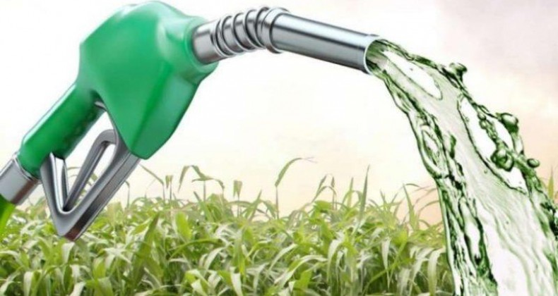 Etanol: hidratado sobe 0,63% e anidro avança 0,18% nas usinas
