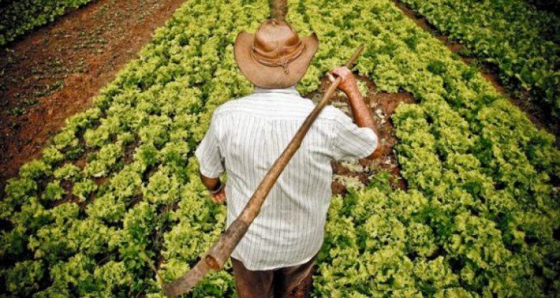 Previdência rural: veja como era o projeto de Bolsonaro e como ficou