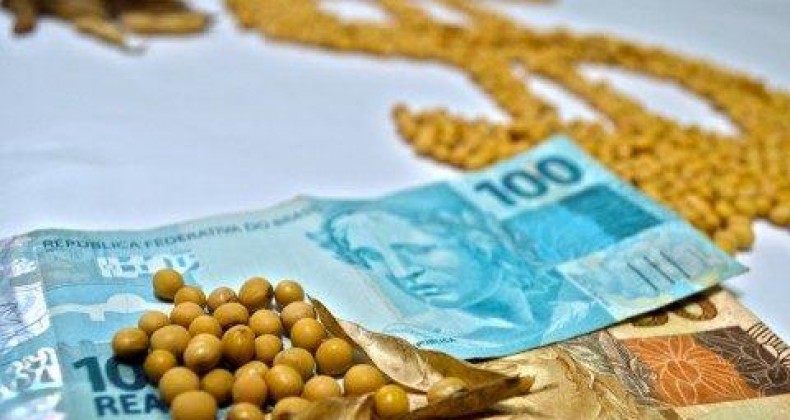 Safra 2019/2020: venda antecipada de soja está mais lenta que em 2018