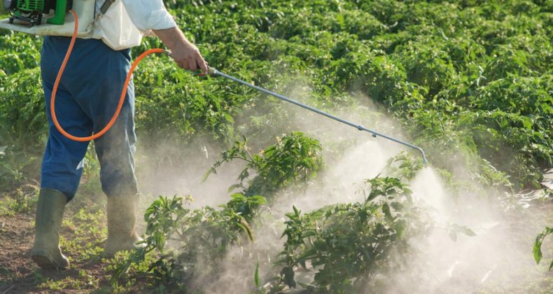 ‘Novos agroquímicos devem ser menos tóxicos e mais eficientes’