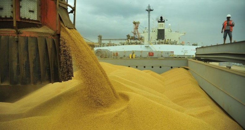 Soja brasileira tem dia de indecisão após relatório do USDA