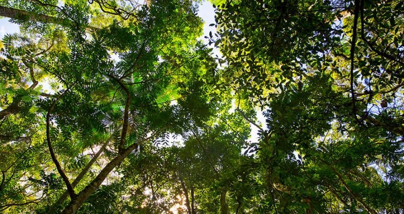 Câmara debate licenciamento ambiental nesta segunda-feira, 9