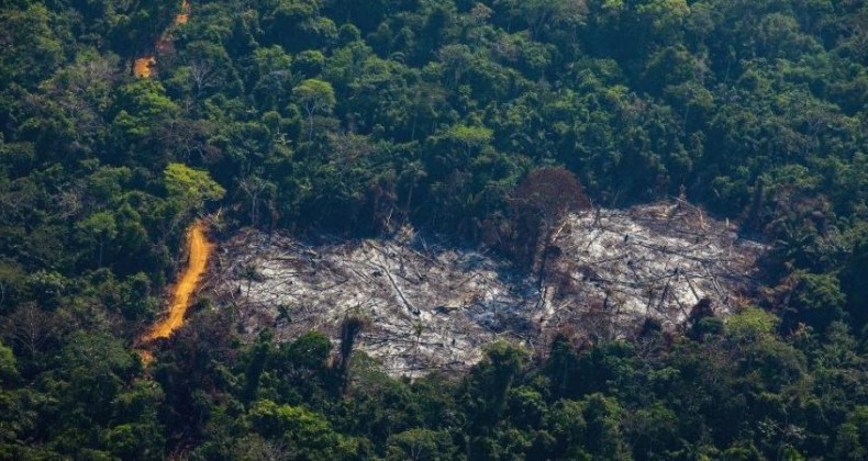 Governo libera crédito R$ 428 mil para combate a incêndios florestais