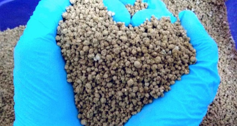 Preço dos fertilizantes para a soja são os mais altos em 9 anos, diz Cepea