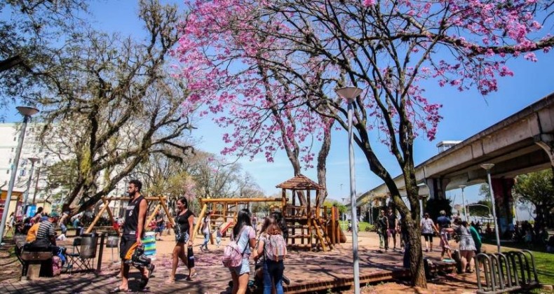 Segunda-feira começa fria, mas terá sol e tarde agradável no RS