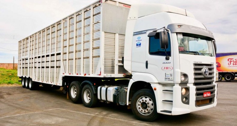 Comissão aprova nova altura para caminhões que transportam animais vivos