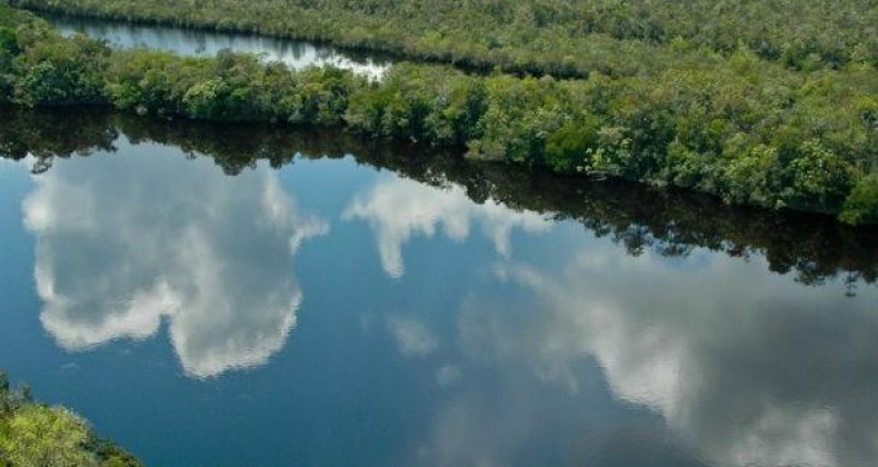 Demanda mundial por água doce deve aumentar 55% nos próximos 50 anos