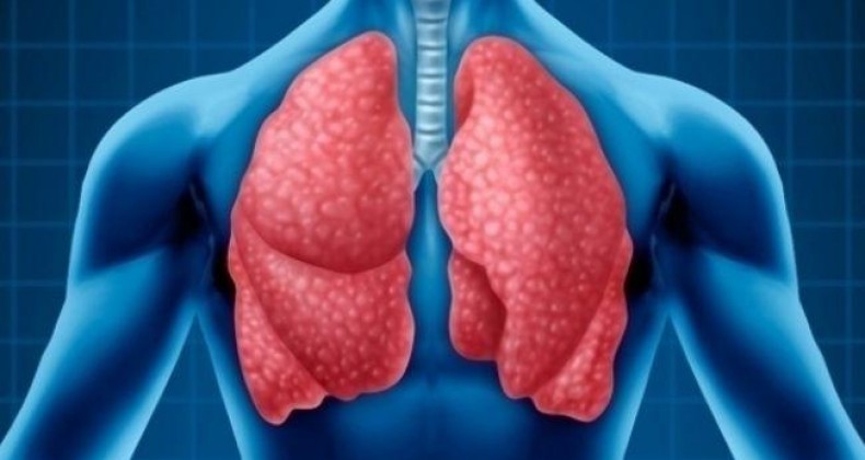 Brasil assume conselho de entidade que combate a tuberculose no mundo