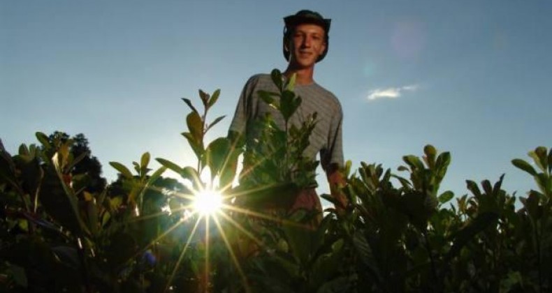 ‘Presença de jovens é fundamental para lidarmos com as mudanças no agro’
