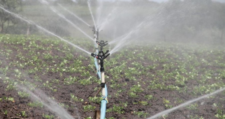 Agricultura irrigada cresceu cerca de 50% em 11 anos, aponta censo
