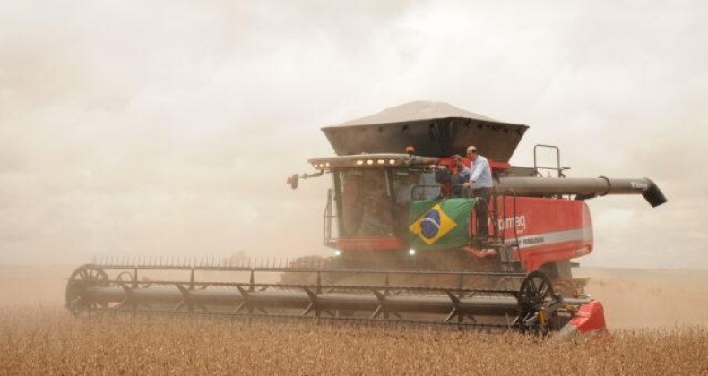 Confira como está a colheita da soja em cada estado do país
