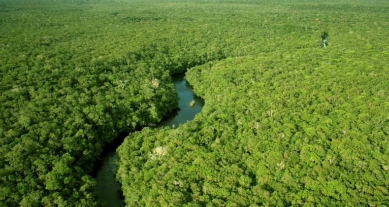 Ministério do Meio Ambiente criará Secretaria da Amazônia