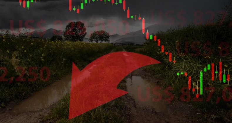 Preço da soja despenca mais de 1% na abertura do dia na Bolsa de Chicago
