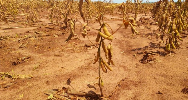 Seca no Rio Grande do Sul: 39 municípios já sinalizaram problemas