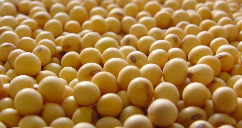 USDA surpreende e eleva previsão para safra de soja dos EUA
