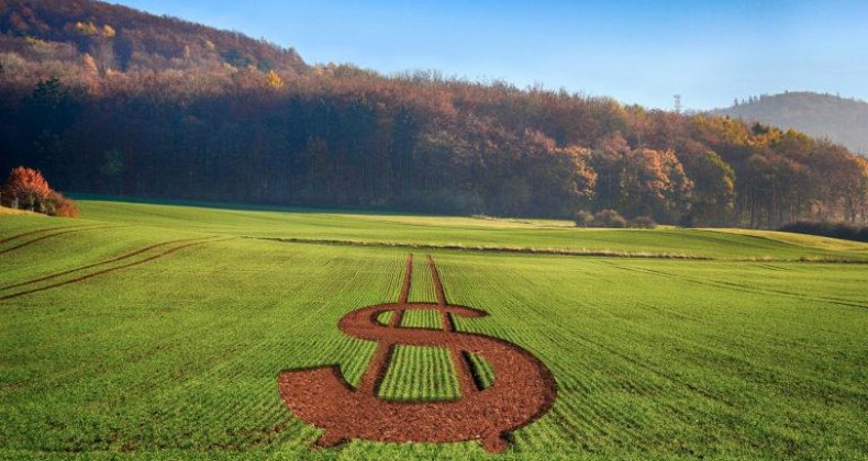 Crédito rural: Câmara aprova texto-base da MP do Agro