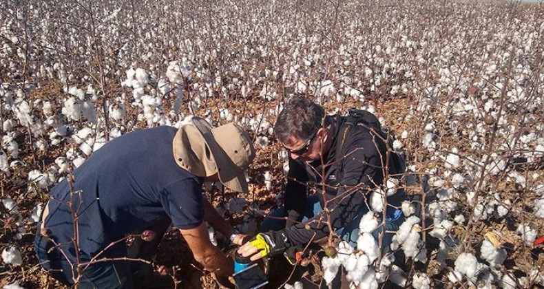 Irrigação inteligente e automatizada é testada pela pesquisa no Brasil