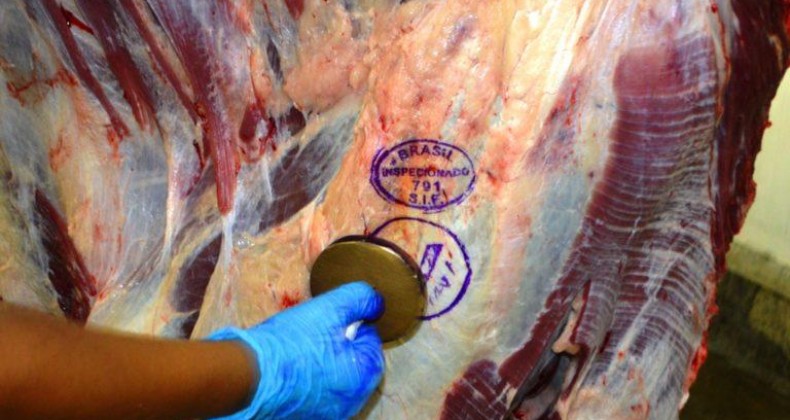 Preços do boi gordo e da carne voltam a subir nesta segunda