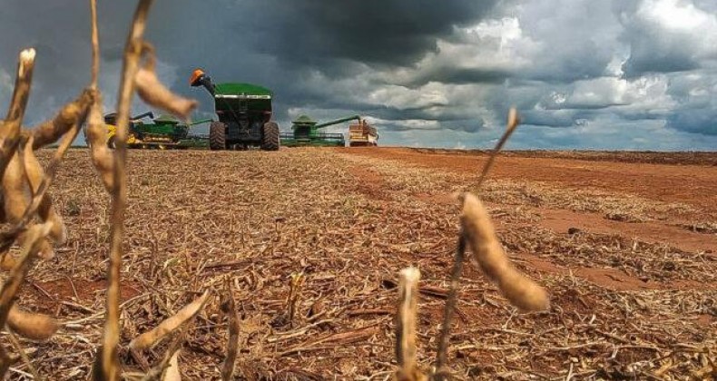 Soja: veja o que esperar do mercado na próxima semana