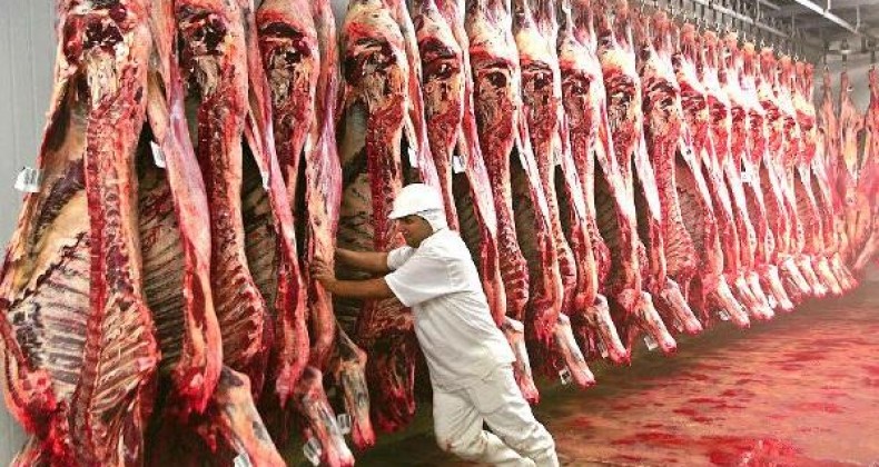 Oferta restrita mantém boi gordo com preços firmes no Brasil