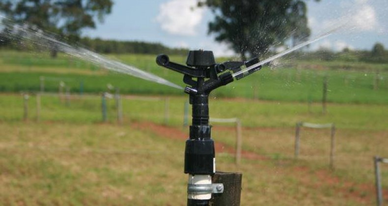 Produtores buscam por investimento em irrigação após estiagem no RS