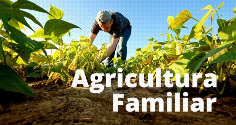 Agricultura familiar: governo antecipa pagamento integral do Garantia-Safra