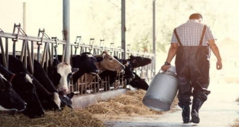 Benedito Rosa: ‘Produtor de leite precisa mesmo ficar preocupado’