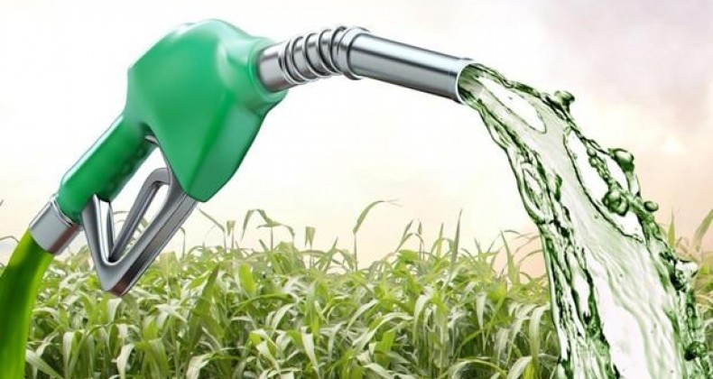 Datagro: Medidas anunciadas pelo governo agradam o setor de etanol