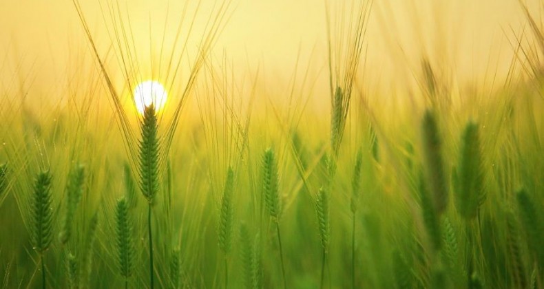Confira as tendências do clima do inverno à primavera para a região Sul