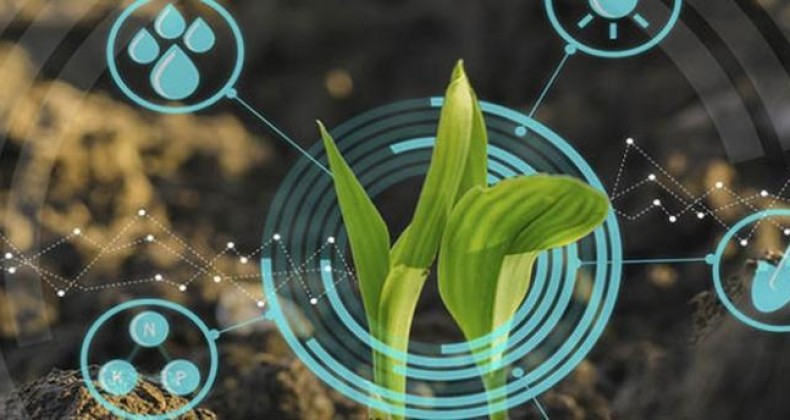 Governo abre consulta pública nacional para Projeto Agro 4.0